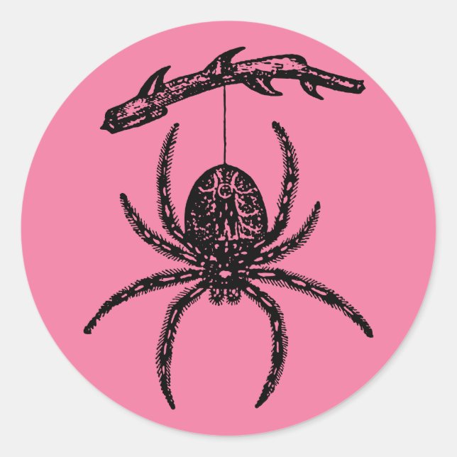 Rosa Spider Klassischer Rundsticker Runder Aufkleber (Vorderseite)