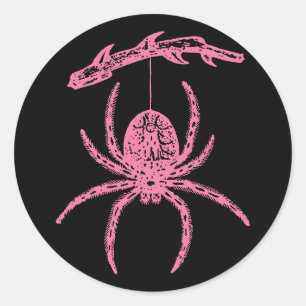 Rosa Spider Klassischer Rundsticker Runder Aufkleber
