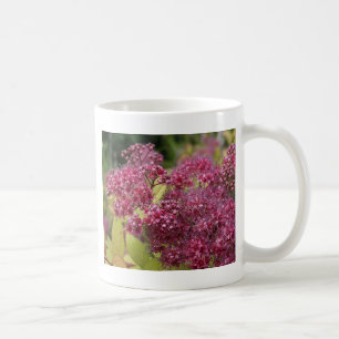 Rosa Spirea Kaffeetasse