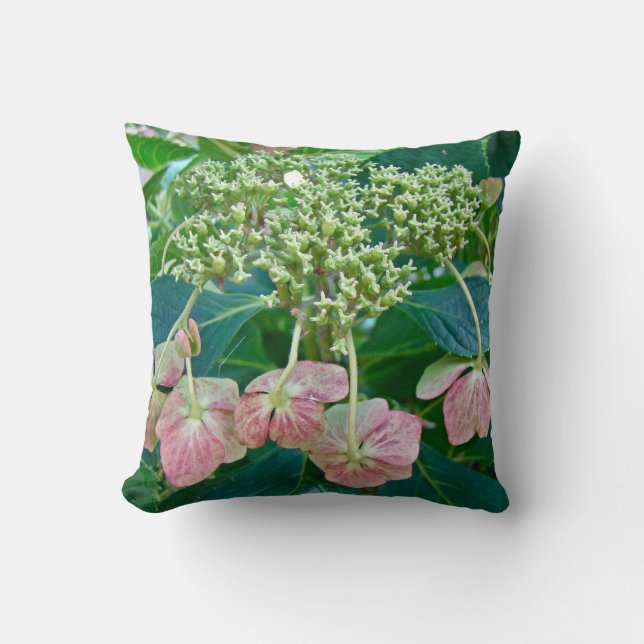 Rosa Spitzen-Cap Hydrangea Blüten - Kissen (Vorderseite)