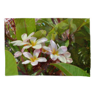 Rosa Splendor, rosa Frangipani blüht auf einem Bau Kissenbezug