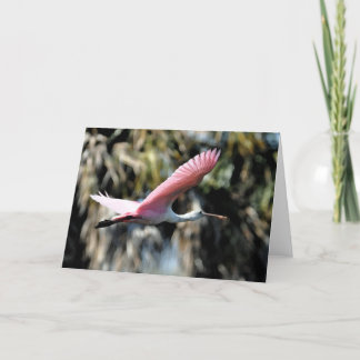 Rosa Spoonbill-Aquarell-Wäsche Karte