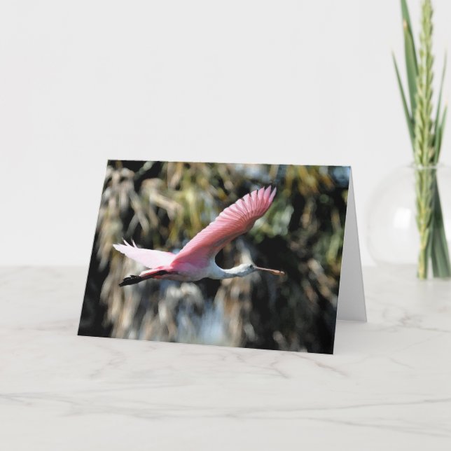 Rosa Spoonbill-Aquarell-Wäsche Karte (Vorderseite)