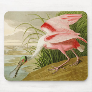 Rosa Spoonbill Mousepad