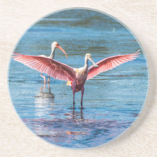 Rosa Spoonbill-Sandstein-Getränk-Untersetzer Getränkeuntersetzer