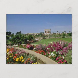 Rosa Staat Hauptstadt, Blumengärten, Phoenix, Ariz Postkarte