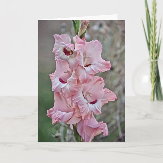 Rosa Stalk Gladiolus Blume Karte (Vorderseite)