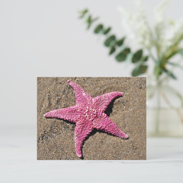 Rosa Starfish Postkarte (Stehend Vorderseite)