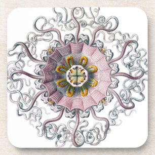 Rosa Starfish Untersetzer