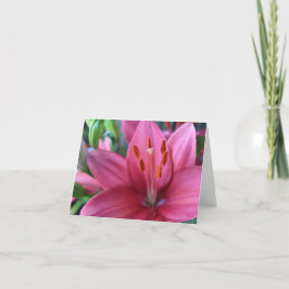 Rosa Stargazer Lilly im Garten Feiertagskarte