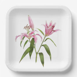 Rosa Stargazer Orientalische Lily Botanische Kunst Pappteller