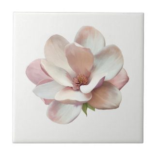 Rosa südliche Magnolie Fliese