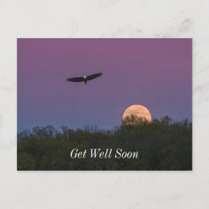 Rosa Supermond Adler Gute Besserung Postkarte