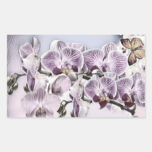 Rosa süße Orchideenblüten und Schmetterlingszeichn Rechteckiger Aufkleber