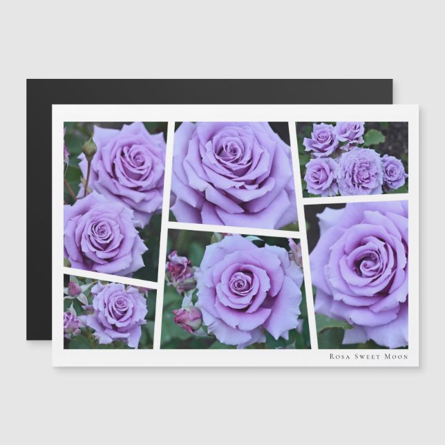 Rosa Sweet Moon Magnetkarte (Vorne/Hinten)