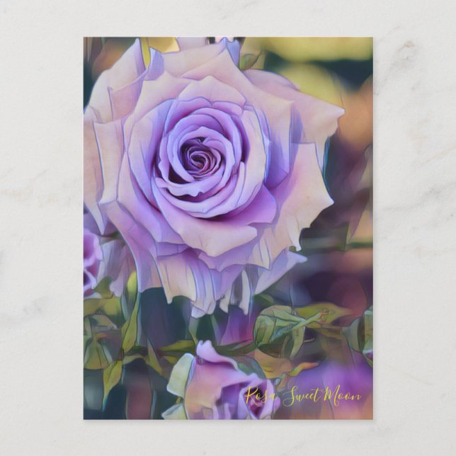Rosa Sweet Moon [Postcard] Postkarte (Vorderseite)