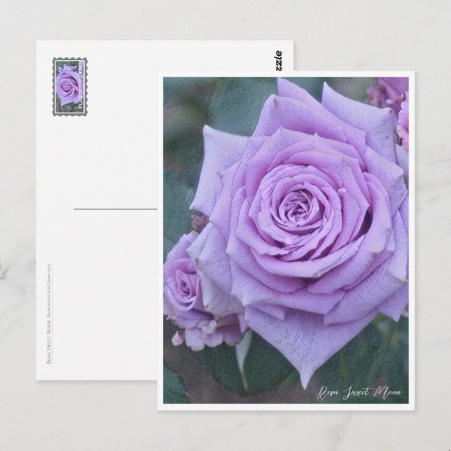Rosa Sweet Moon Postkarte (Vorne/Hinten)