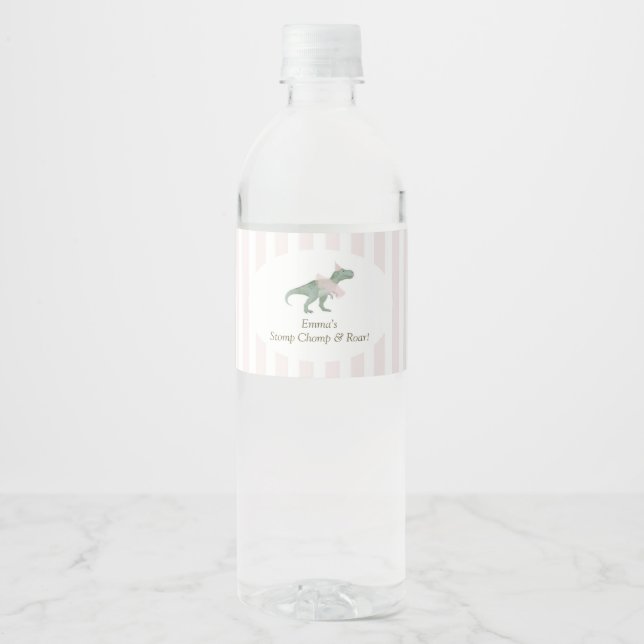 Rosa T-Rex Tutu Mädchen Geburtstag Wasserflaschene (Vorderseite)