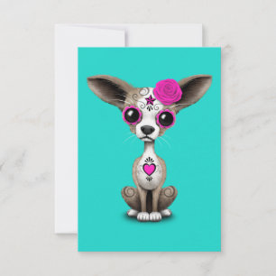 Rosa Tag der Toten Chihuahua
