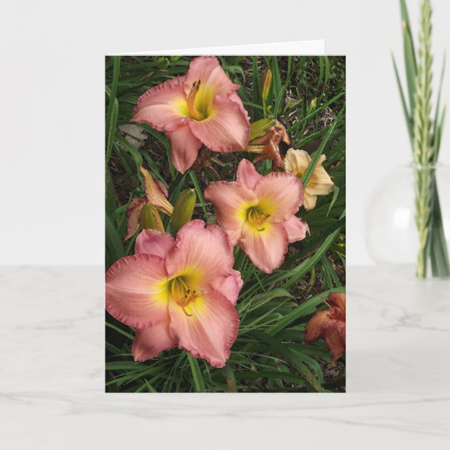 Rosa Taglilien - Schwester Birthday Card Karte (Vorderseite)