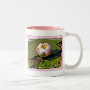 Rosa Tasse