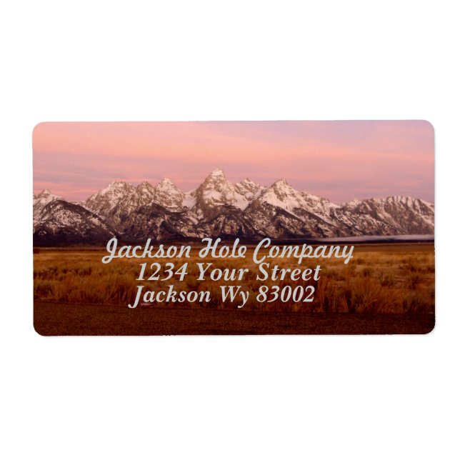 Rosa Tetons (Vorne)