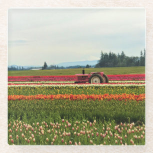 Rosa Traktor in Tulip Field, Oregon Glasuntersetzer