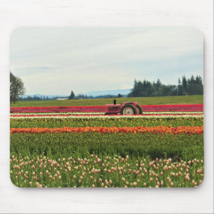 Rosa Traktor in Tulip Field, Oregon Mousepad