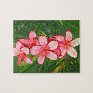 Rosa tropische Frangipani-Kunst