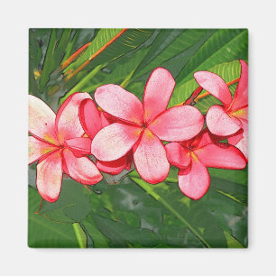 Rosa tropische Frangipani-Kunst Magnet