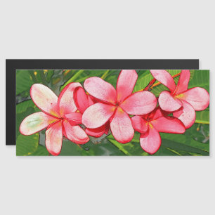 Rosa tropische Frangipani-Kunst Magneteinladung