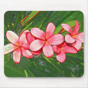Rosa tropische Frangipani-Kunst Mousepad