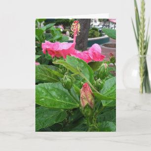 Rosa Tropische Hibiskus Blume Camouflaged Lizard Karte
