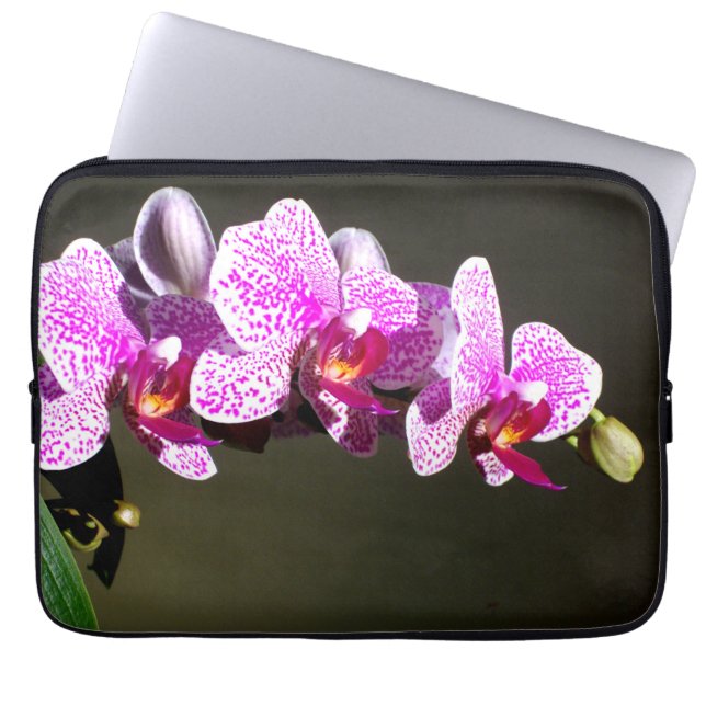 Rosa, tropische Orchideen in Rosa Laptopschutzhülle (Vorderseite)