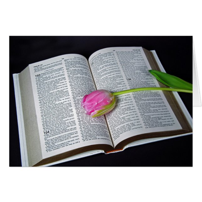 Rosa Tulip auf dem Bibel-Beileid (Vorderseite (Horizontal))
