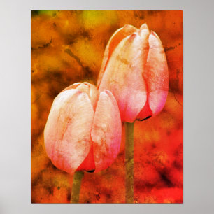 Rosa Tulip-Blume mit Raindrops gestörte Kunst Poster