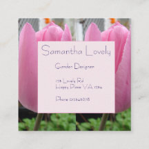 Rosa Tulip Tulips Park/Garten: