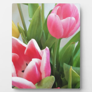 Rosa Tulips, Blumenstrauß, Blume Fotoplatte
