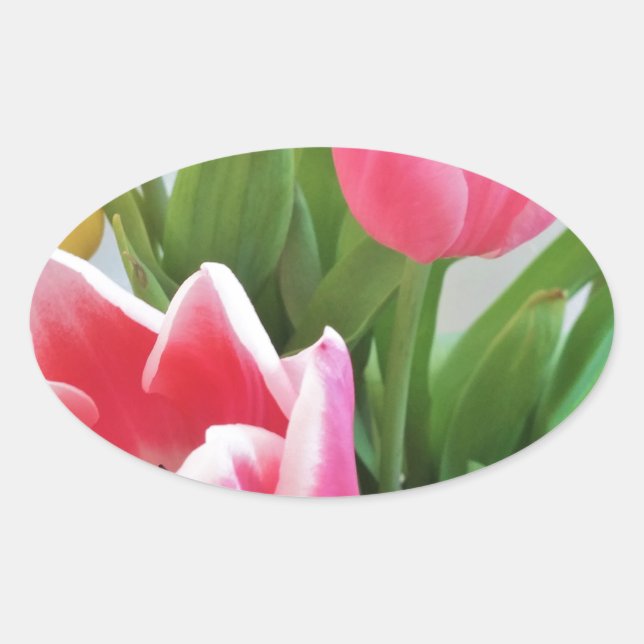 Rosa Tulips, Blumenstrauß, Blume Ovaler Aufkleber (Vorderseite)