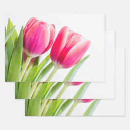Rosa Tulips mit grünem Blätter Foto