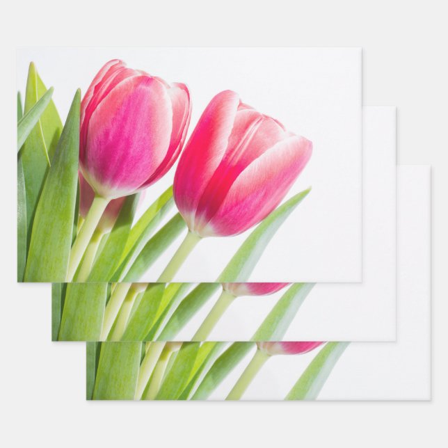 Rosa Tulips mit grünem Blätter Foto (Set)