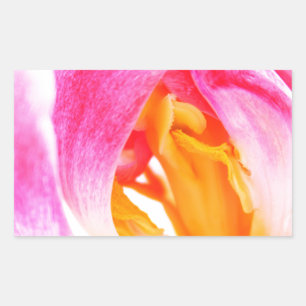 Rosa Tulpe Rechteckiger Aufkleber