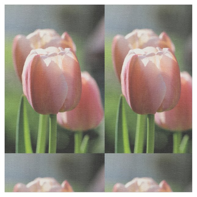 Rosa Tulpe Stoff (Nahaufnahme)