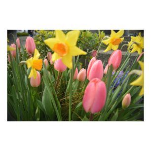 Rosa Tulpe und Blume in Gelbtönen Fotodruck