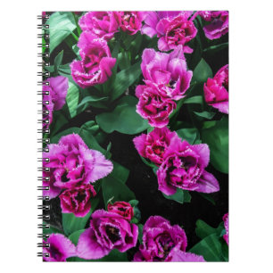 Rosa Tulpen Blume Notizblock