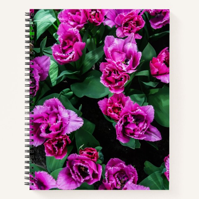 Rosa Tulpen Blume Notizbuch (Vorderseite)