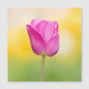 Rosa Tulpen-Blumen-Kunstprint Magnetkarte