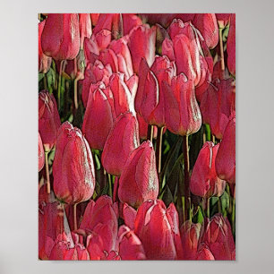 Rosa Tulpen Blumen Poster