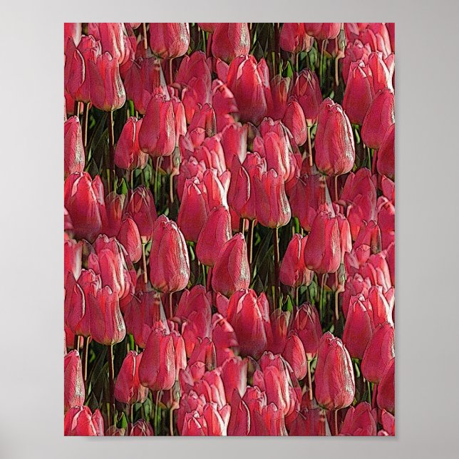 Rosa Tulpen Blumen Poster (Vorne)
