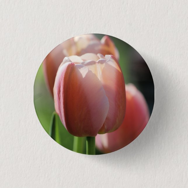 Rosa Tulpen Button (Vorderseite)